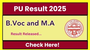 PU Result 2025 Released at puchd.ac.in Direct Link to Download 1st, 3rd and 5th Semester Result