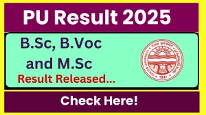PU Result 2025 Released at puchd.ac.in Direct Link to Download 1st, 3rd and 5th Semester Result