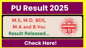 PU Result 2025 Released at puchd.ac.in Direct Link to Download 1st, 4th and 5th Semester Result