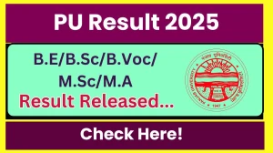 PU Result 2025 Released at puexam.in Direct Link to Download 1st, 2nd, 3rd, 4th, 5th Semester Result