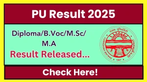 PU Result 2025 Released at puexam.in Direct Link to Download 1st, 3rd, 4th 5th Semester Result PU Result 2025 Released at puexam.in Direct Link to Download 1st, 3rd, 4th 5th Semester Result
