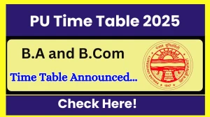 PU Time Table 2025 Announced @ puchd.ac.in Details Here PU Time Table 2025 Announced @ puchd.ac.in Details Here