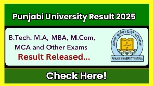 Punjabi University Result 2025 Released at punjabiuniversity.ac.in Direct Link to Download ODD Semester Result