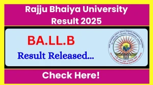 Rajju Bhaiya University Result 2025 Released at prsuniv.ac.in Direct Link to Download 1st, 3rd, 5th, 7th and 9th Sem Result