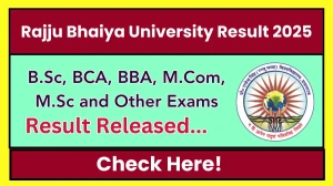 Rajju Bhaiya University Result 2025 Released at prsuniv.ac.in Direct Link to Download 1st, 3rd, 5th and 7th Semester Result