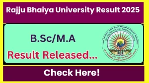 Rajju Bhaiya University Result 2025 Released at prsuprayagraj.in Direct Link to Download 1st, 3rd, 5th Semester Result