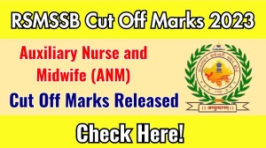 RSMSSB ANM 2023 Cut Off Marks out rssb.rajasthan.gov.in Check ANM Final Recommendation and Cut Off Marks here