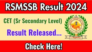 RSMSSB CET 2024 Additional Result Released rssb.rajasthan.gov.in Check CET Additional Result here