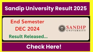Sandip University Result 2025 Released at sandipuniversity.edu.in Direct Link to Download DEC 2024 UG and PG Courses Result