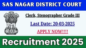 SAS Nagar District Court Clerk, Stenographer Grade III Recruitment 2025 - Apply Offline for 67 Posts