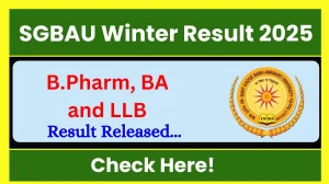 SGBAU Result 2025 Released at sgbau.ac.in Direct Link to Download 1st, 4th, 5th and 8th Semester Result