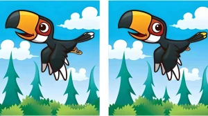 Spot the Difference: Spot the 5 Differences in this Toucan Bird Picture in 15 Secs