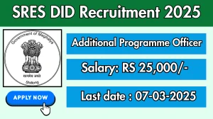 SRES DID Additional Programme Officer Recruitment 2025 - Apply Offline