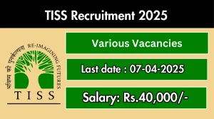 TISS Various Posts Recruitment 2025 - Apply Offline for 66 Posts TISS Various Posts Recruitment 2025 - Apply Offline for 66 Posts