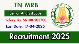 TN MRB Senior Analyst Recruitment 2025 - Apply Online for 14 Posts TN MRB Senior Analyst Recruitment 2025 - Apply Online for 14 Posts