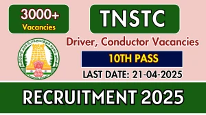 TNSTC Recruitment 2025 - Apply Online for 3,274 Driver Cum Conductor Posts TNSTC Recruitment 2025 - Apply Online for 3,274 Driver Cum Conductor Posts