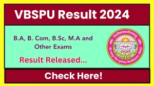 VBSPU Result 2024 Released at vbspu.ac.in Direct Link to Download 1st, 3rd and 5th Semester Result