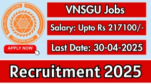 VNSGU Associate Professor, Assistant Professor Recruitment 2025 - Apply Offline