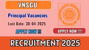 VNSGU Principal Recruitment 2025 - Apply Online VNSGU Principal Recruitment 2025 - Apply Online