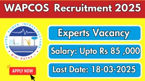 WAPCOS Experts Recruitment 2025 - Apply Offline