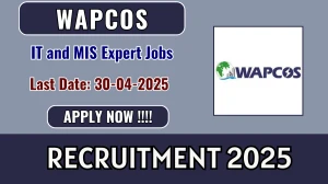 WAPCOS IT and MIS Expert Recruitment 2025 - Apply Offline WAPCOS IT and MIS Expert Recruitment 2025 - Apply Offline