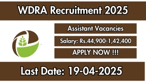 WDRA Assistant Recruitment 2025 - Apply Offline