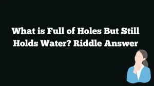 What is Full of Holes But Still Holds Water? Riddle Answer Explained