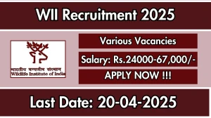 WII Project Assistant, Project Associate and Other Recruitment 2025 - Apply Online for 56 Posts