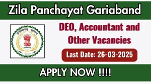 Zila Panchayat Gariaband DEO, Accountant and Other Recruitment 2025 - Apply Offline