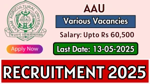 AAU Various Recruitment 2025 - Apply Online for 28 Junior Accountant, Pharmacist and Other Posts