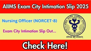 AIIMS Nursing Officer (NORCET-8) Exam City Intimation Slip 2025 OUT AIIMS Nursing Officer (NORCET-8) Exam City Intimation Slip 2025 OUT