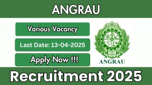 ANGRAU Drone Trainer, Drone Co Pilot and More Posts Recruitment 2025 - Apply Offline for 06 Posts Before April 13