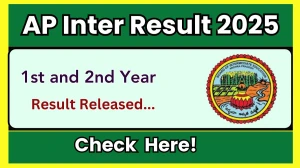 AP Inter Result 2025 Out For 1st and 2nd Year at bieap-gov.org How to check Results Here