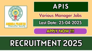 APIS Manager Recruitment 2025 - Apply Online for 04 Posts Before April 24 APIS Manager Recruitment 2025 - Apply Online for 04 Posts Before April 24