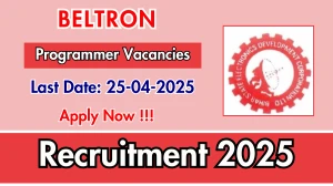 BELTRON Programmer Recruitment 2025 - Apply Online BELTRON Programmer Recruitment 2025 - Apply Online