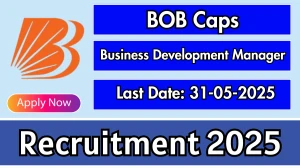 BOB Caps Business Development Manager Recruitment 2025 - Apply Offline for 63 Business Development Manager Posts