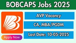 BOBCAPS AVP Recruitment 2025 - Apply Offline BOBCAPS AVP Recruitment 2025 - Apply Offline
