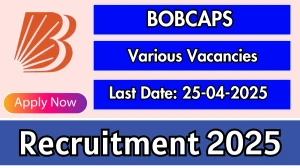 BOBCAPS Recruitment 2025 - Apply Offline for IT Programmer, Head and Other Posts
