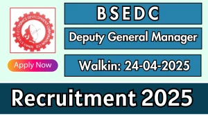 BSEDC Deputy General Manager Recruitment 2025 – Walk in for 01 Posts BSEDC Deputy General Manager Recruitment 2025 – Walk in for 01 Posts