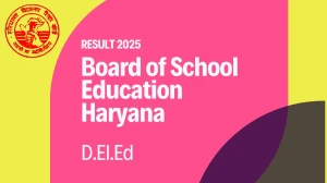 BSEH D.El.Ed Result 2025 Out at bseh.org.in How to check Results Here BSEH D.El.Ed Result 2025 Out at bseh.org.in How to check Results Here