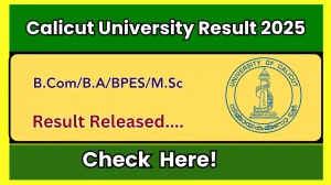 Calicut University Result 2025 Released at uoc.ac.in Direct Link to Download 2nd, 4th, 8th Semester Result Calicut University Result 2025 Released at uoc.ac.in Direct Link to Download 2nd, 4th, 8th Semester Result