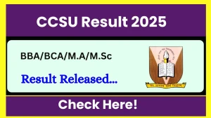 CCSU Result 2025 Released at ccsuniversityweb.in Direct Link to Download 3rd Semester Result CCSU Result 2025 Released at ccsuniversityweb.in Direct Link to Download 3rd Semester Result