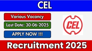 CEL Advisor or Consultant Recruitment 2025 - Apply Online Before June 30