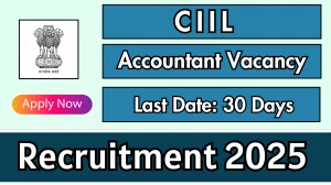 CIIL Accountant Recruitment 2025 - Apply Offline CIIL Accountant Recruitment 2025 - Apply Offline