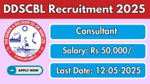 DDSCBL Consultant Recruitment 2025 - Apply Offline for 03 Posts