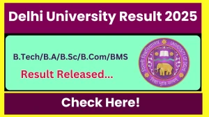 Delhi University Result 2025 Released at du.ac.in Direct Link to Download 3rd, 5th, 7th Semester Result
