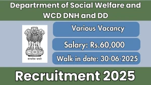Departrment of Social Welfare and WCD DNH and DD Recruitment 2025 - Walk in for 15 Programme Manager, Project Coordinator and More Posts