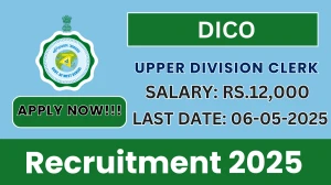 DICO Upper Division Clerk Recruitment 2025 - Apply Offline for 01 Posts Before May 06