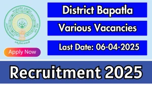 District Bapatla Various Recruitment 2025 - Apply Offline for 06 MO, Accountant and Other Posts