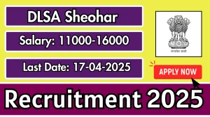 DLSA Sheohar Various Recruitment 2025 - Apply Offline for 03 Office Assistant, Office Peon and Other Posts DLSA Sheohar Various Recruitment 2025 - Apply Offline for 03 Office Assistant, Office Peon and Other Posts